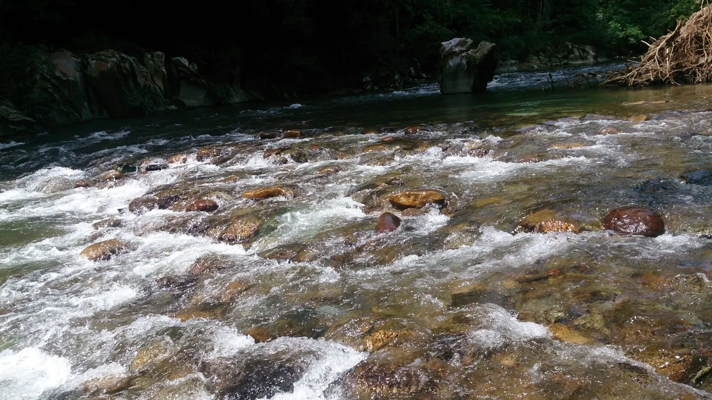 Agua cristalina corriendo entre piedras en el Río Claro